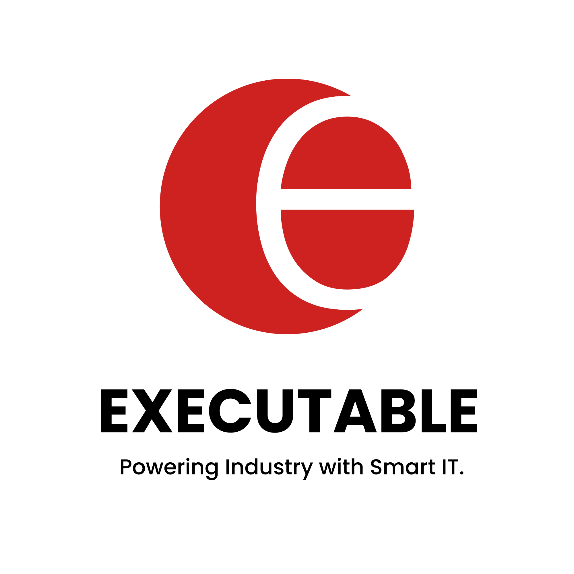 executable full logo color